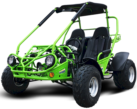 Interceptor 200 XRS Buggy Go Kart, 11hp Electric Start, CVT Automatic with Reverse