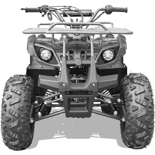 Bull Kids Gas Powered ATV, Electric Start 125cc 4-Stroke, Automatic with Reverse, Ages 12 and up