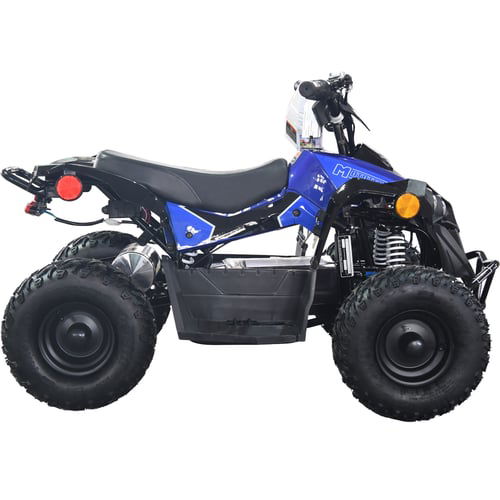 E-Bully Kids Electric ATV, 36v 1000w, Ages 10 and up