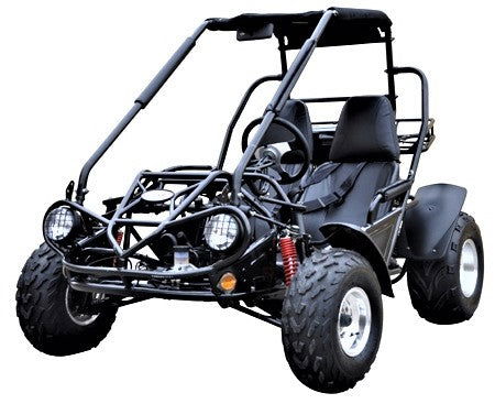 Interceptor 200 XRS Buggy Go Kart, 11hp Electric Start, CVT Automatic with Reverse