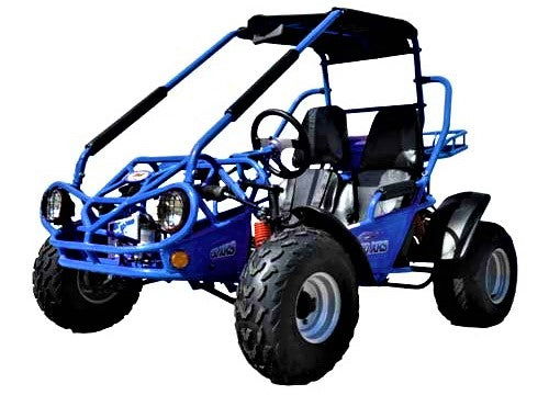Interceptor 200 XRS Buggy Go Kart, 11hp Electric Start, CVT Automatic with Reverse