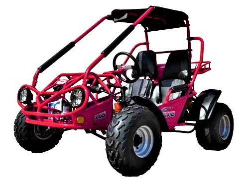 Interceptor 200 XRS Buggy Go Kart, 11hp Electric Start, CVT Automatic with Reverse