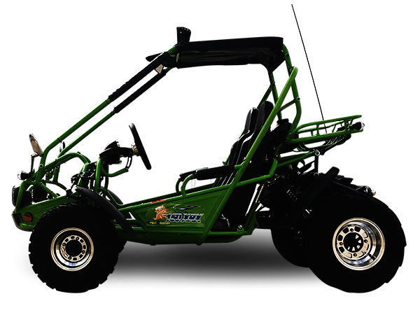 Interceptor 200 XRS Buggy Go Kart, 11hp Electric Start, CVT Automatic with Reverse