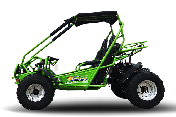 Interceptor 200 XRS Buggy Go Kart, 11hp Electric Start, CVT Automatic with Reverse