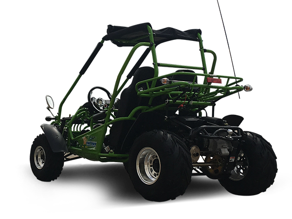 Interceptor 200 XRS Buggy Go Kart, 11hp Electric Start, CVT Automatic with Reverse