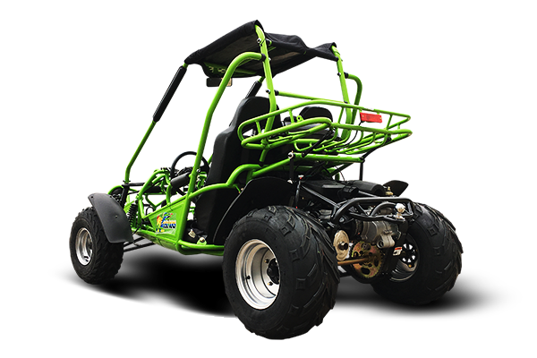 Interceptor 200 XRS Buggy Go Kart, 11hp Electric Start, CVT Automatic with Reverse