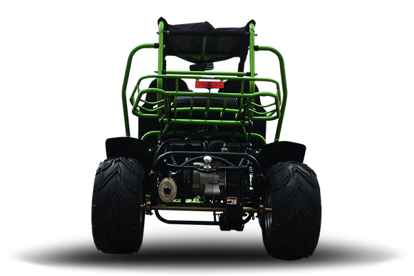 Interceptor 200 XRS Buggy Go Kart, 11hp Electric Start, CVT Automatic with Reverse