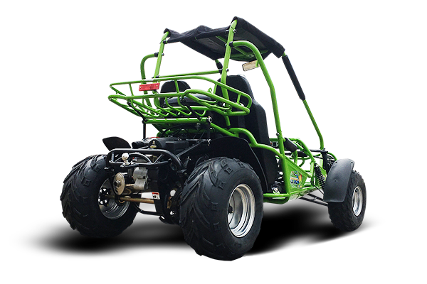 Interceptor 200 XRS Buggy Go Kart, 11hp Electric Start, CVT Automatic with Reverse