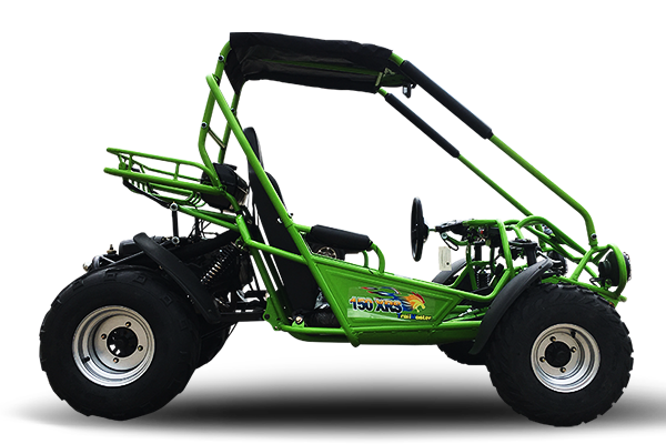 Interceptor 200 XRS Buggy Go Kart, 11hp Electric Start, CVT Automatic with Reverse