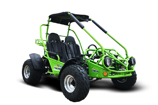 Interceptor 200 XRS Buggy Go Kart, 11hp Electric Start, CVT Automatic with Reverse