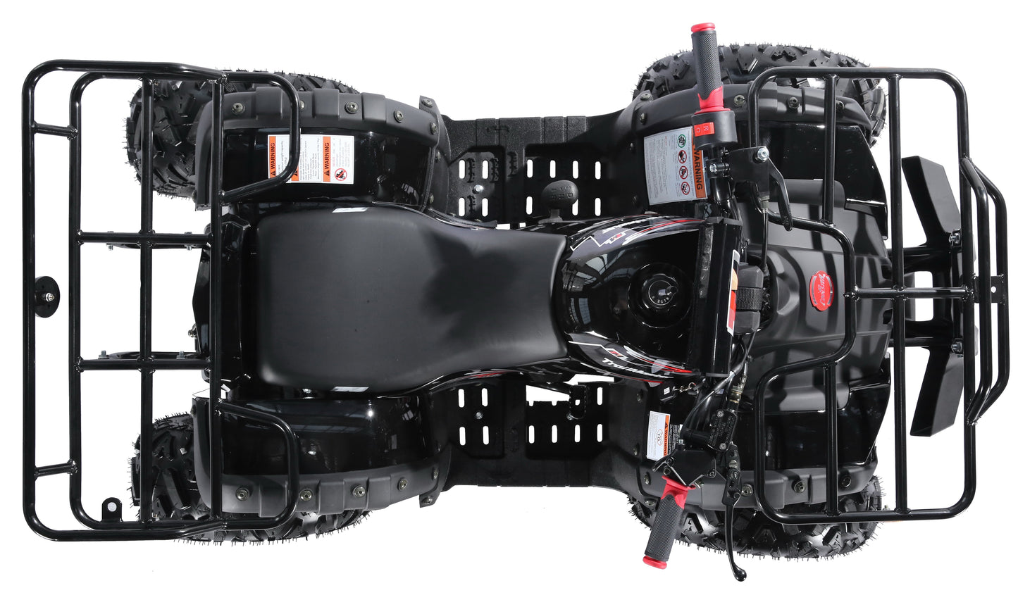 Interceptor B125 125cc Utility Style ATV, Automatic with Reverse, 8-inch Wheels