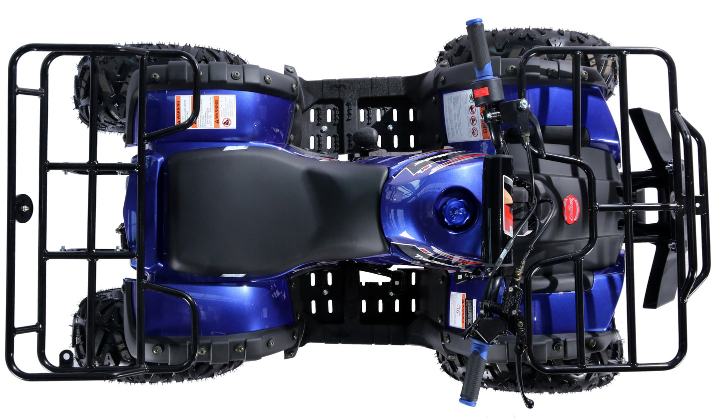 Interceptor B125 125cc Utility Style ATV, Automatic with Reverse, 8-inch Wheels