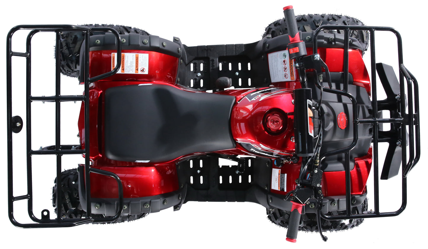 Interceptor B125 125cc Utility Style ATV, Automatic with Reverse, 8-inch Wheels