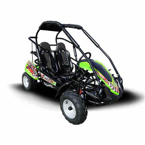 Interceptor Blazer 200R MID-Size Deluxe Go Kart, 7hp Torque Converter, Electric Start Reverse
