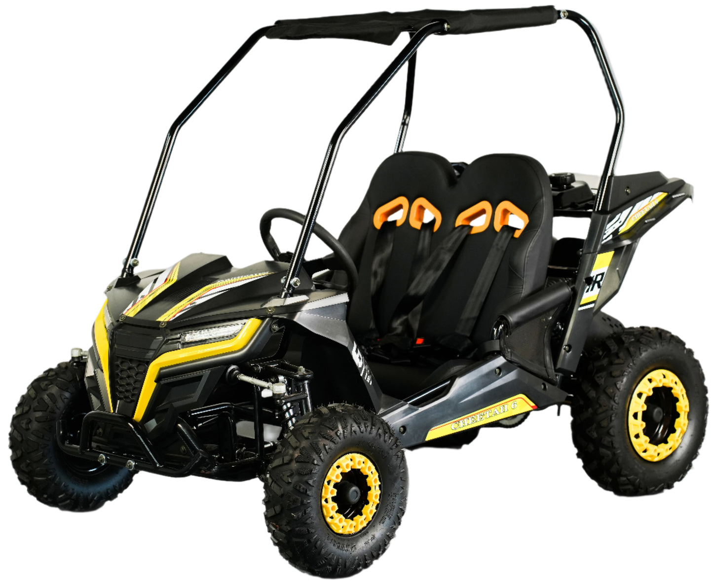 Interceptor Cheetah 6 Kids Deluxe Go Kart, 5.5hp Electric Start, Remote Start/Kill with Reverse