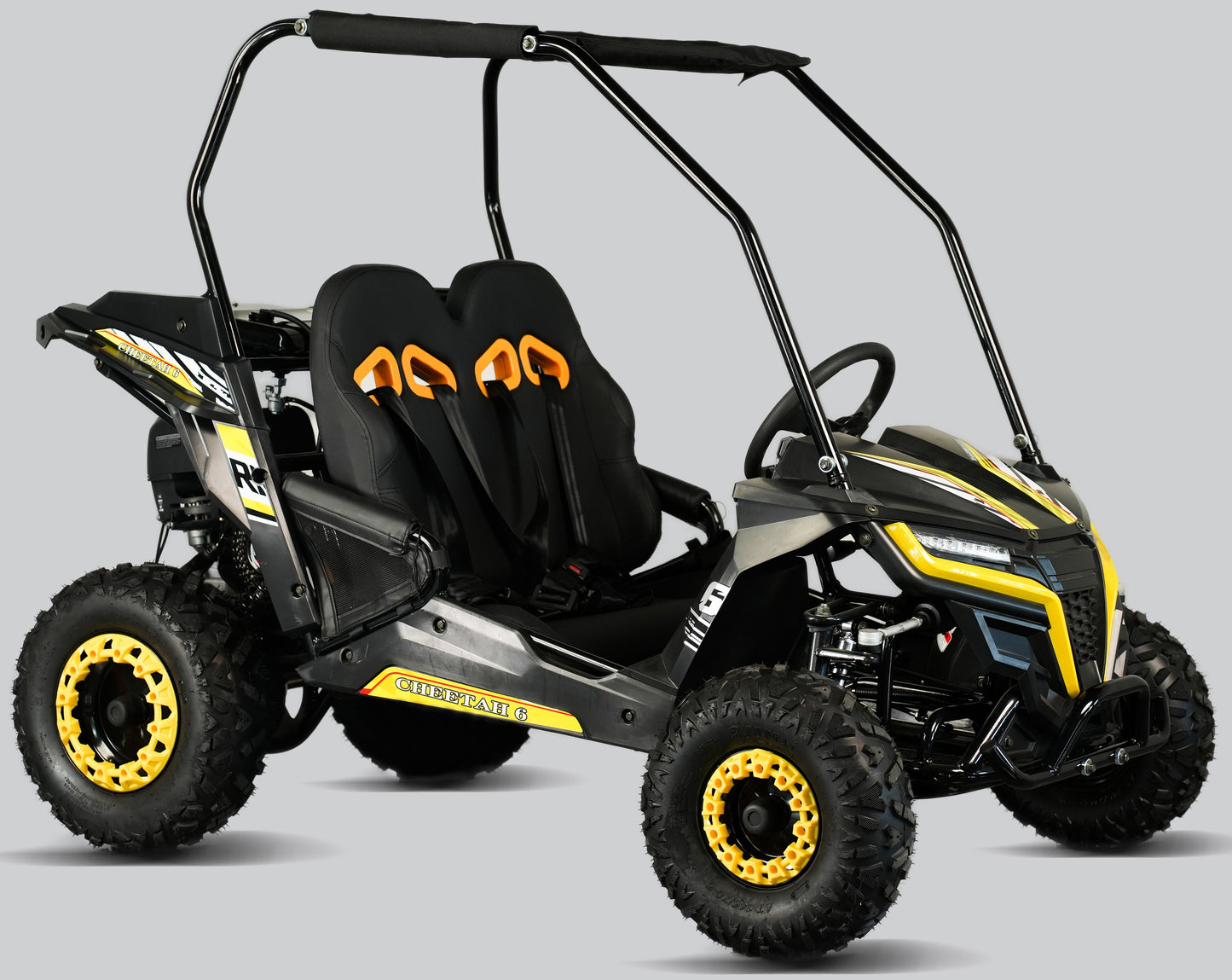 Interceptor Cheetah 6 Kids Deluxe Go Kart, 5.5hp Electric Start, Remote Start/Kill with Reverse