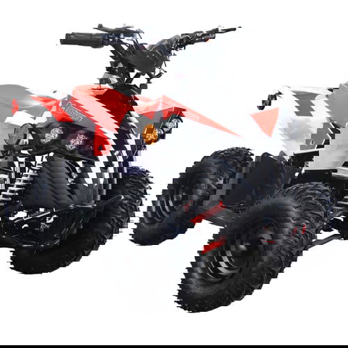 E-Bully Kids Electric ATV, 36v 1000w, Ages 10 and up
