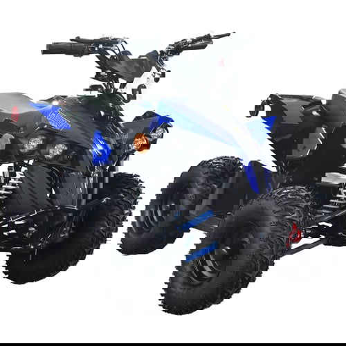 E-Bully Kids Electric ATV, 36v 1000w, Ages 10 and up