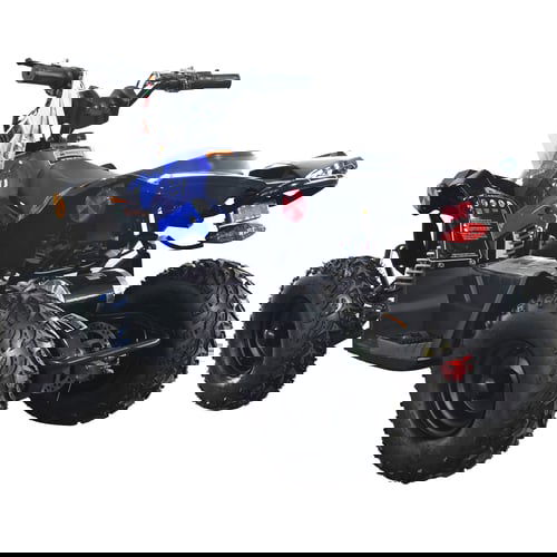 E-Bully Kids Electric ATV, 36v 1000w, Ages 10 and up