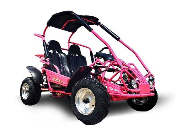 Interceptor MID XRX/R Mid-size Go Kart, 7hp Torque Converter, Electric Start with Reverse