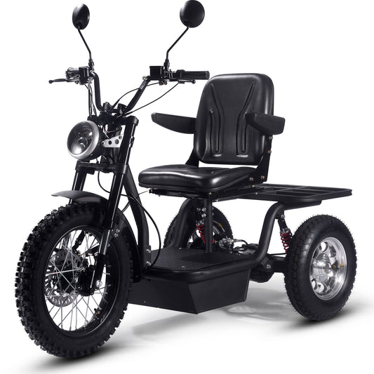 Electric Trike 1800w