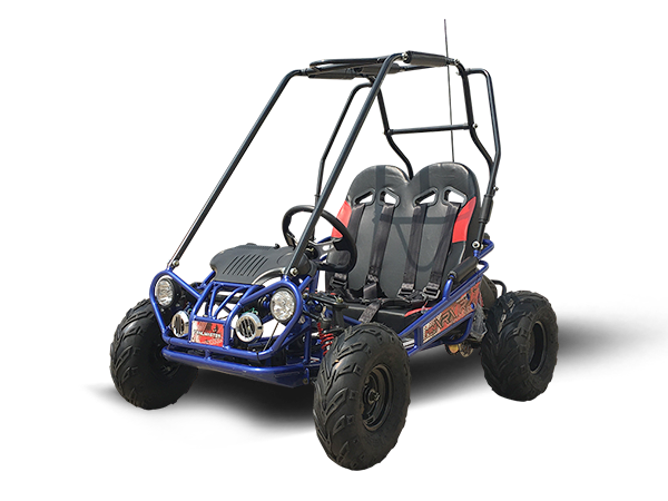 Interceptor MINI XRX/R+ Kids Go Kart, 5.5hp Electric Start, Parental Remote Control with Reverse