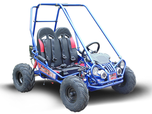 Interceptor MINI XRX/R+ Kids Go Kart, 5.5hp Electric Start, Parental Remote Control with Reverse