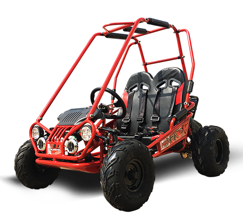 Interceptor MINI XRX/R+ Kids Go Kart, 5.5hp Electric Start, Parental Remote Control with Reverse