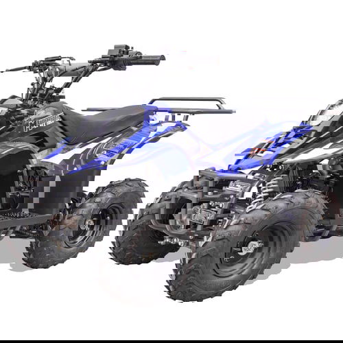 Rex Kids Gas ATV, 110cc 4-Stroke, Ages 8 and up