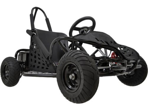 Sport Kart Kids Electric Go Kart, 48v 1000w, Ages 8 and up